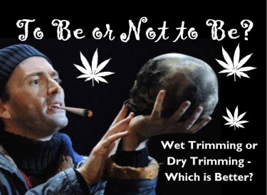 WET TRIMMIG OR DRY CANNABIS TRIMMING