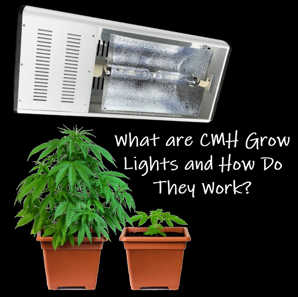 WHAT ARE CMH GROW LIGHTS AND HOW DO THEY WORK