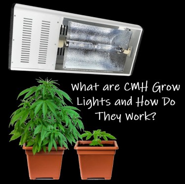 CMH CANNABIS GROW LIGHTS