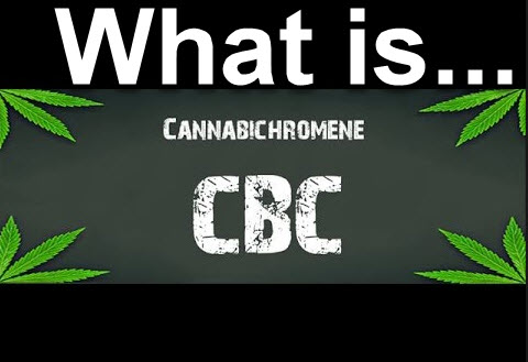 WHAT IS CBC CANNABINOID