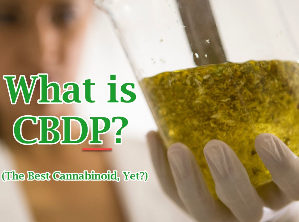 cbdp and what it is 