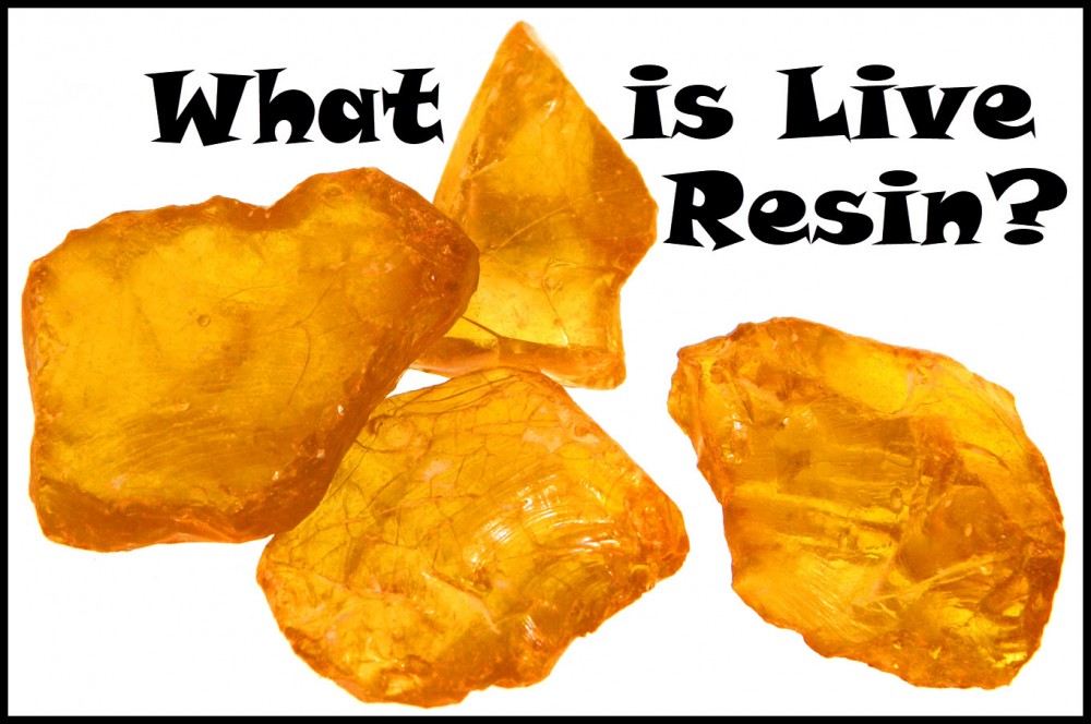 WHAT IS LIVE RESIN