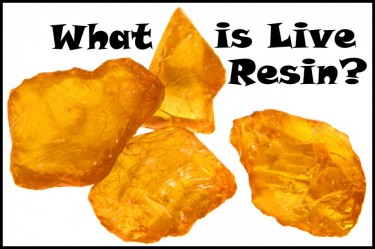 what is live resin isolate