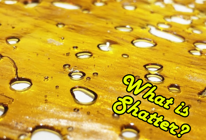 WHAT IS SHATTER AND BUDDER