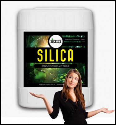 what is silica growing plants