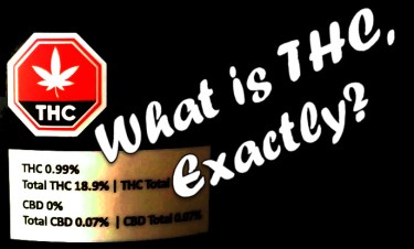 WHAT IS THC EXACTLY