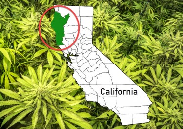 what is the emerald triangle