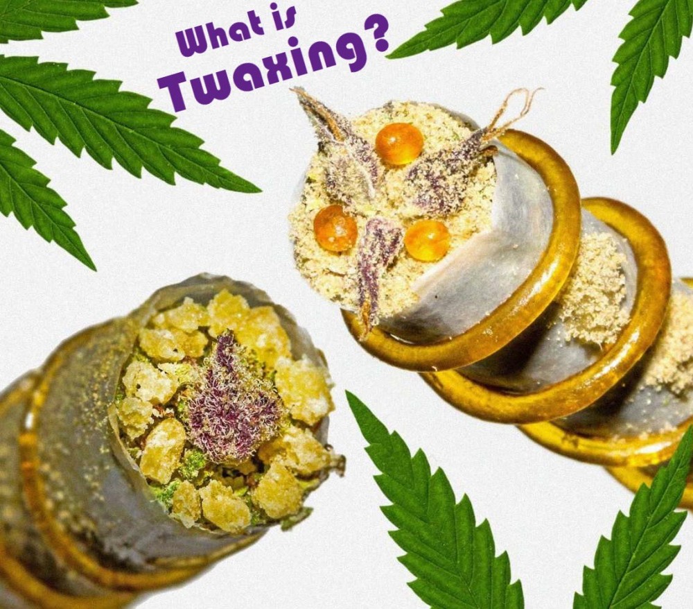 What is twaxing cannabis blunts