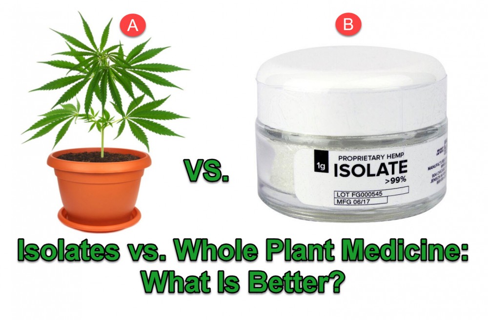 ISOLATE VERSE WHOLE PLANT CBD