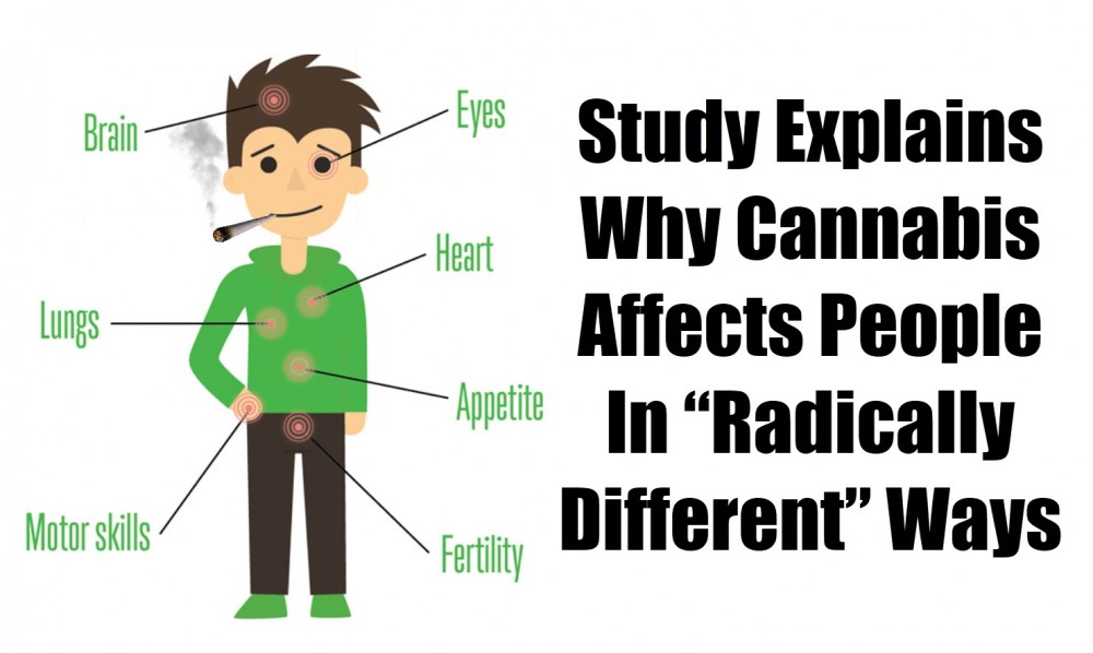 CANNABIS EFFECTS ON PEOPLE