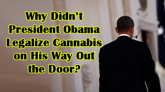 OBAMA LEGALIZES MARIJUANA