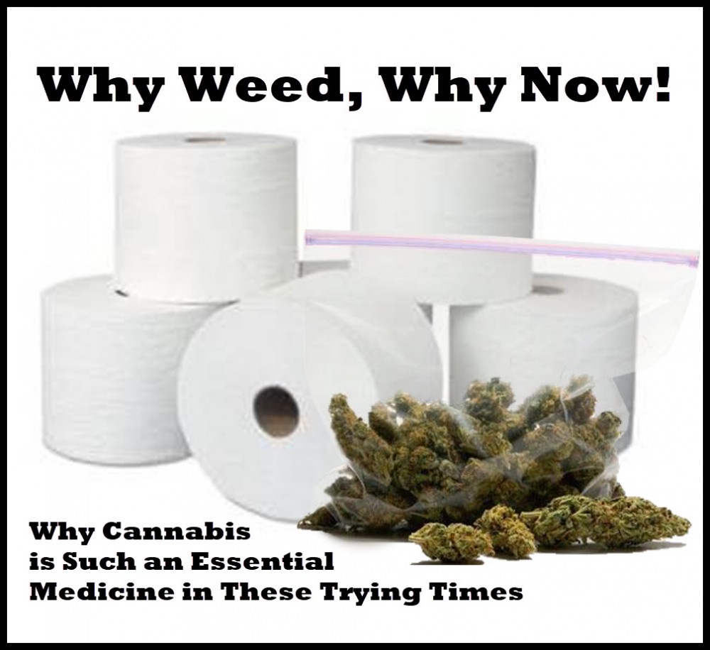 WHY CANNABIS IS ESSENTIAL LIKE TOILET PAPER