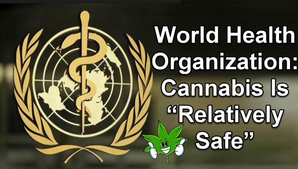 WHO ON CANNABIS SAFETY
