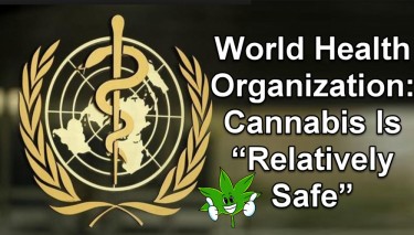 WORLD HEALTH ORGANIZATION ON MARIJUANA