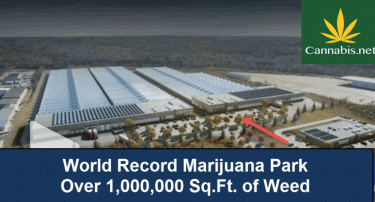 WORLD'S BIGGEST GROW HOUSE