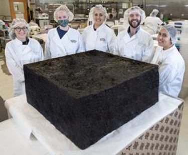 world's biggest pot brownie