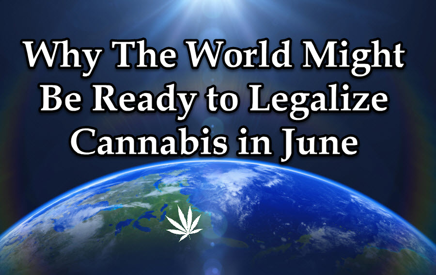 WORLD WIDE MARIJUANA LEGALIZATION