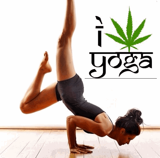 CANNABIS AND YOGA MEDITATION