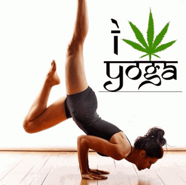 MARIJUANA WITH YOGA CLASSES