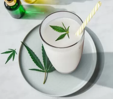 3743_6MFS_cannabismilkshake.webp