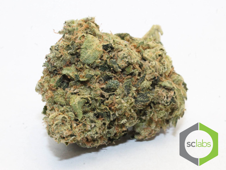 Mossimo OG | Indica | Compassionate Patient Resources - CPR