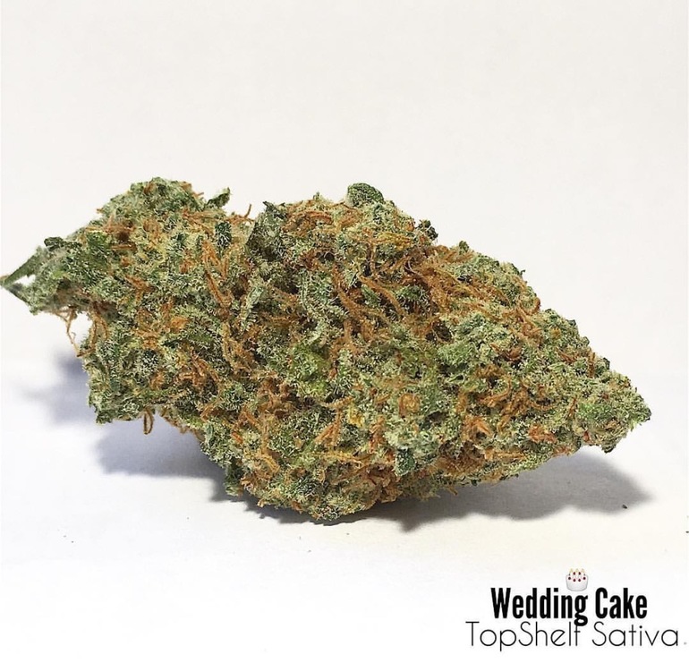 WEDDING CAKE Sativa Chief And Buds