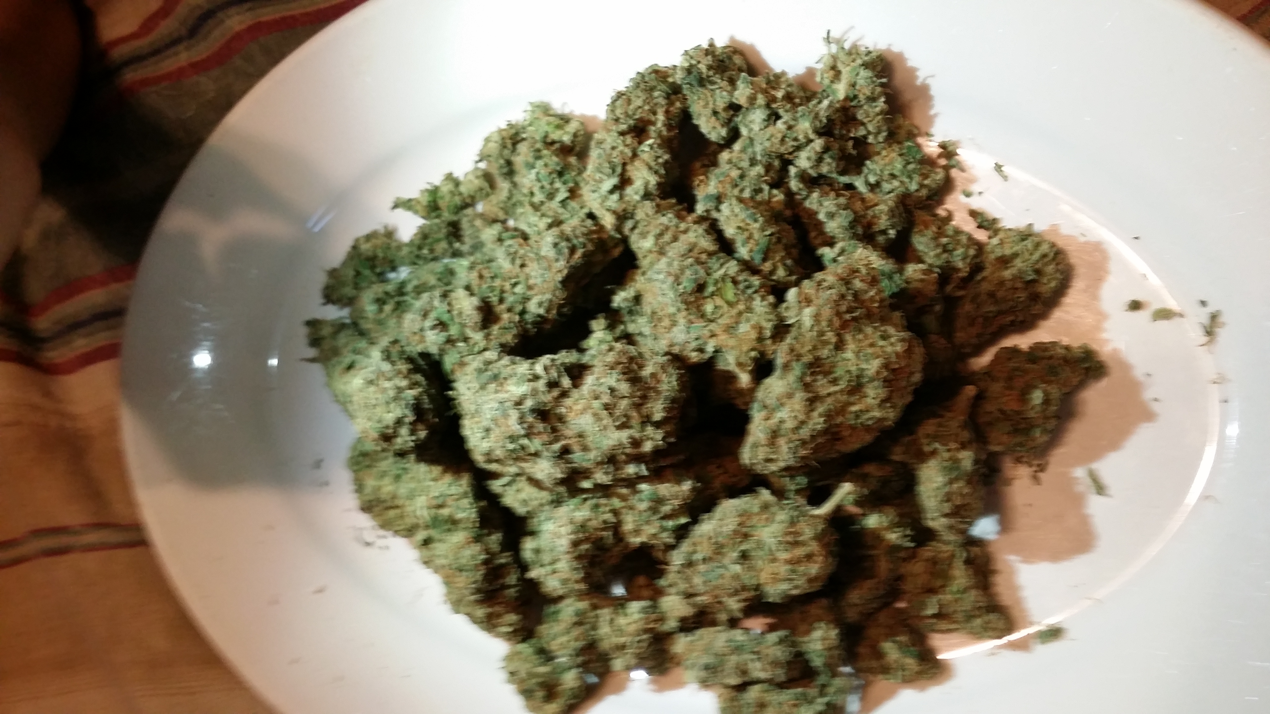 Sugar plum Sativa Weed on Wheels