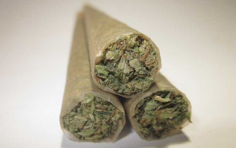 Top Shelf O.G. Kush 1-Gram Pre-Roll | Preroll | Cali's Finest Cure ...